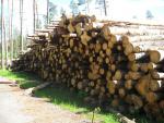 Borovica Vláknina |  Mäkké drevo | Guľatina | Закупка ООО