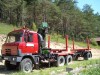 Lesovoz T 815