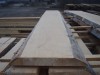 Bukové rezivo sušené