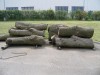 Lipové dřevo