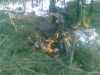 Harvestor