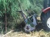 Frézovanie náletových drevín