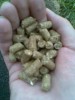 Agropelety