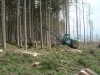 harvestor