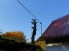 Výrub,opilovanie stromov.