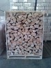 Firewood beech