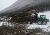 TIMBERJACK 1110