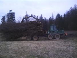 Timberjack 1110c