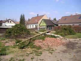 Lesní a zahradní práce výkup lesních pozemků