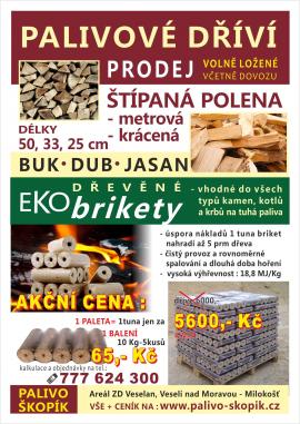 Palivové dřevo +dřěvěné brikety