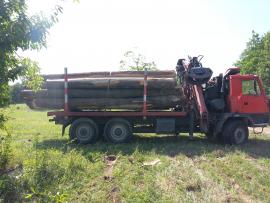 ihličnatá vláknina, dub 3a,b