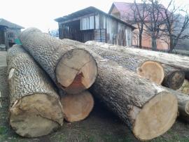koupím dubovou kulatinu