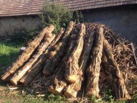Predám agátové stlpy-koly, žrde, ohradníky. Doprava zdarma.