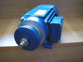 Pílové elektromotory