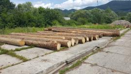 Ponuka SM/JD guľatiny