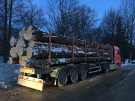 Kúpim ihličnatú guľatinu SMREK v 13m dĺžkach