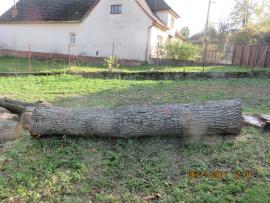 Orechová guľatina