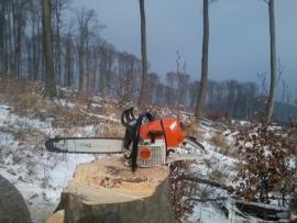 Stihl 461 
