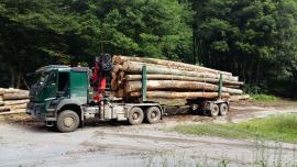 vodič,strojnik,hydraulicka ruka,lkw,lkt,vývozka,ukt,operator