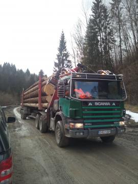 Tazba dreva,preprava dreva,obchod