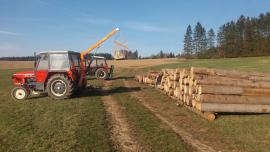 Kulatina k prodeji - 40m3