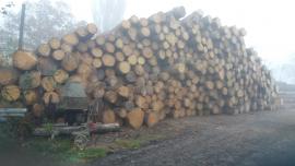 Koupim KPZ 2,5 až 5m