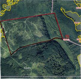 Predáme 14,5 ha lesnej pôdy v pozemkovom spoločenstve