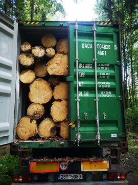 Vykoupime smrkovou kulatinu 11, 80m