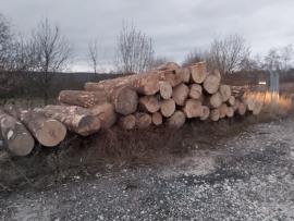 JAVOR 25m3