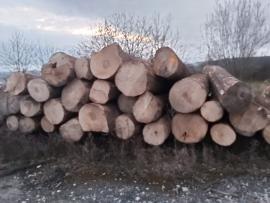JAVOR 25m3