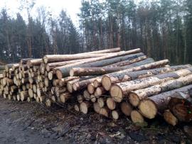 Smrková kulatina 5,1m a 5,9m