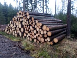 Smrková kulatina 5,1m a 5,9m