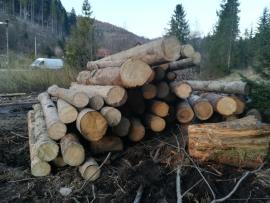 Tvrdá hniloba