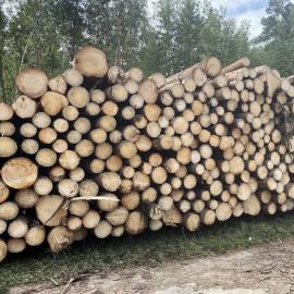 Smrková kulatina