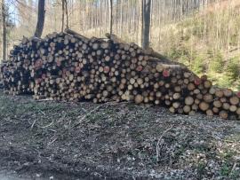 Vláknina, smrk, 2m a 4m