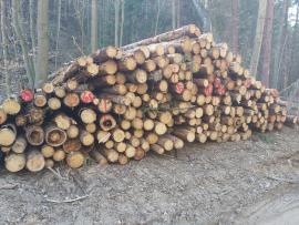 Vláknina, smrk, 2m a 4m