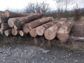 JAVOR 25m3