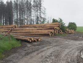Smrková kulatina
