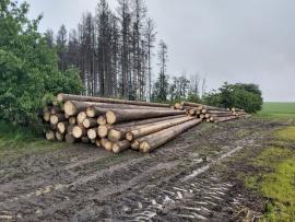 Smrková kulatina