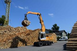 Kolové rypadlo Liebherr A924 Litronic