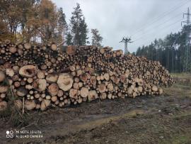 Smrek vlaknina