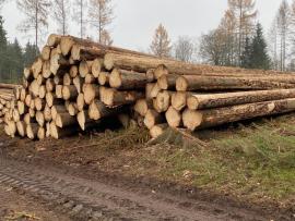 Smrková kulatina, různé délky, čerstvý řez