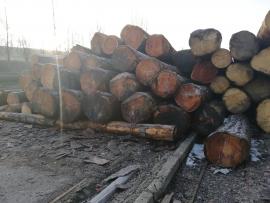 Prodáme modřínovou kulatinu 47+ 10+12m
