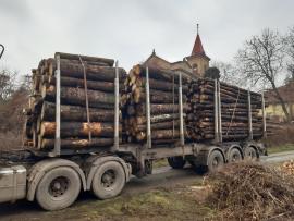 koupím dřevo na výrobu paliva délkách