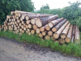 Koupíme smrkovou kulatinu.