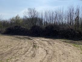 Štiepka , biomasa z tvrdých drevín
