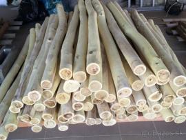 Predám agátové stlpy-koly, žrde, ohradníky. Doprava celá SR 19,- Eur.