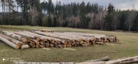Smreková gulatina 11,8m