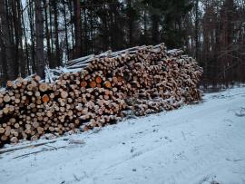 Predam ihličnatú vlákninu, smrek a borovica