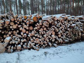 Predam ihličnatú vlákninu, smrek a borovica